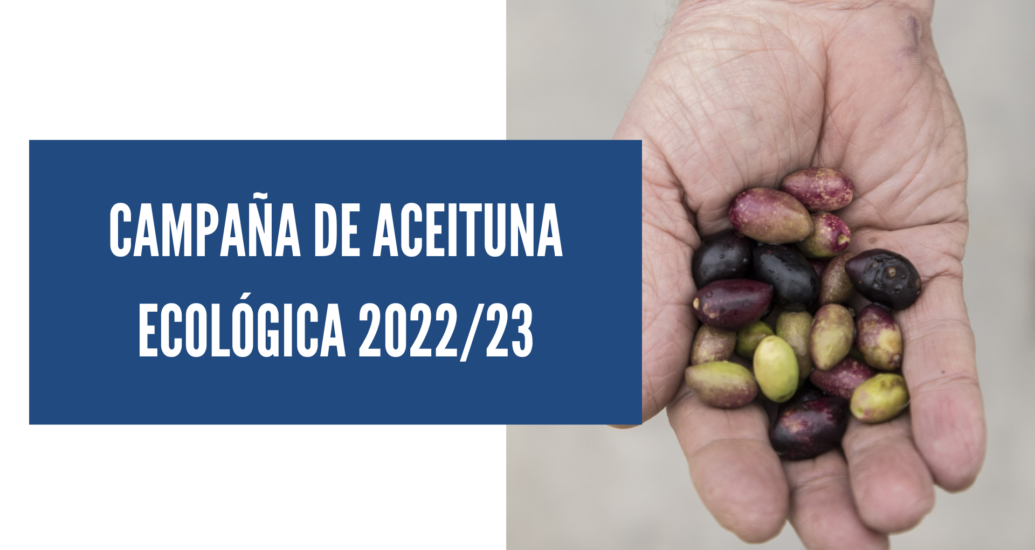 CAMPAÑA DE ACEITUNA 2022/23